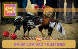 ĐÁ GÀ CỰA DAO PHILIPINES TRÊN 98WIN